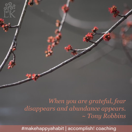 When  you are grateful, fear disappears and abundance appears. - Tony Robbins